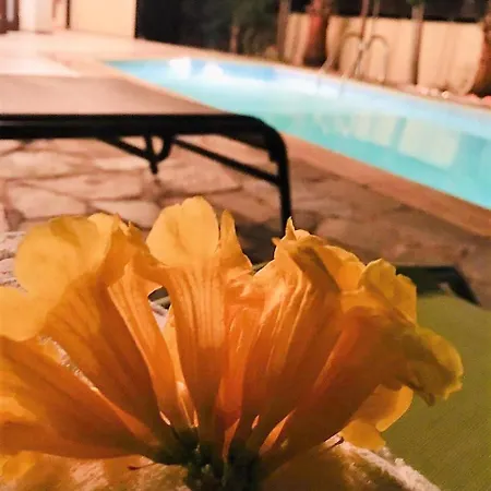 빌라 Casa De Paradiso *